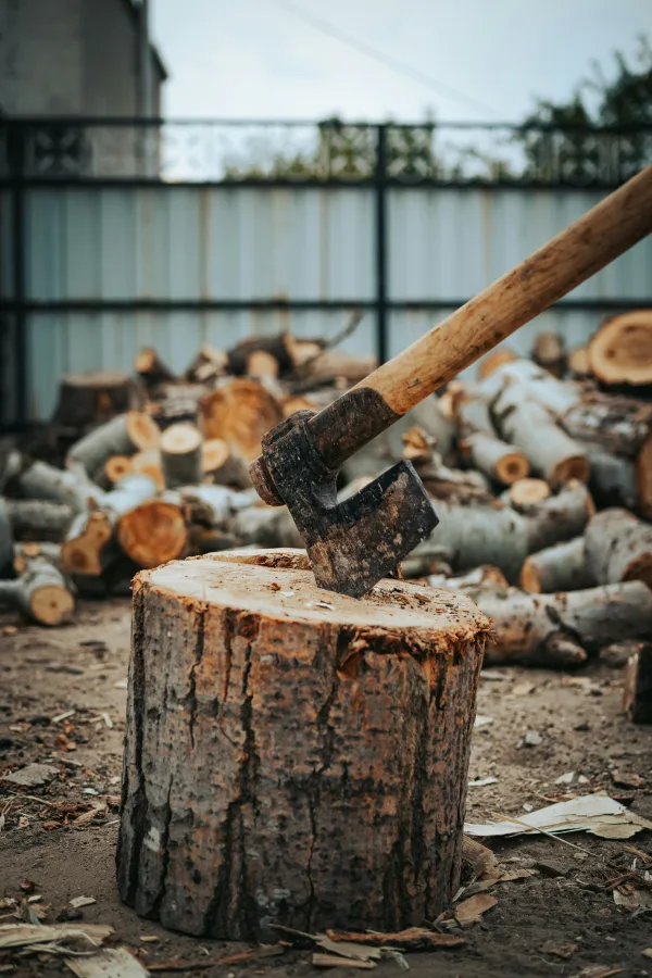 Photo by seyfi durmaz on Pexels