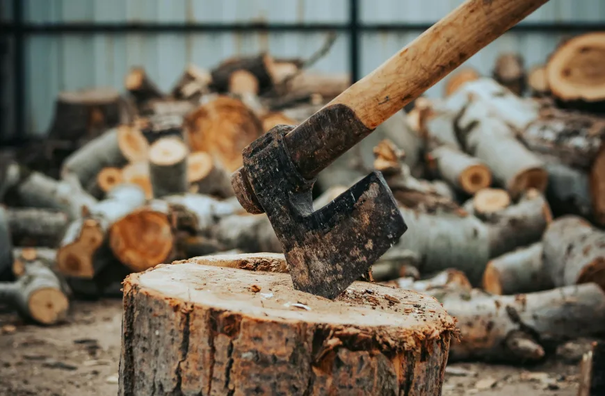 Photo by seyfi durmaz on Pexels