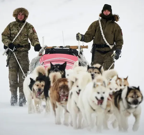 Sirius Dog Sled Patrol: Η επίλεκτη περιπολία έλκηθρων&hellip;