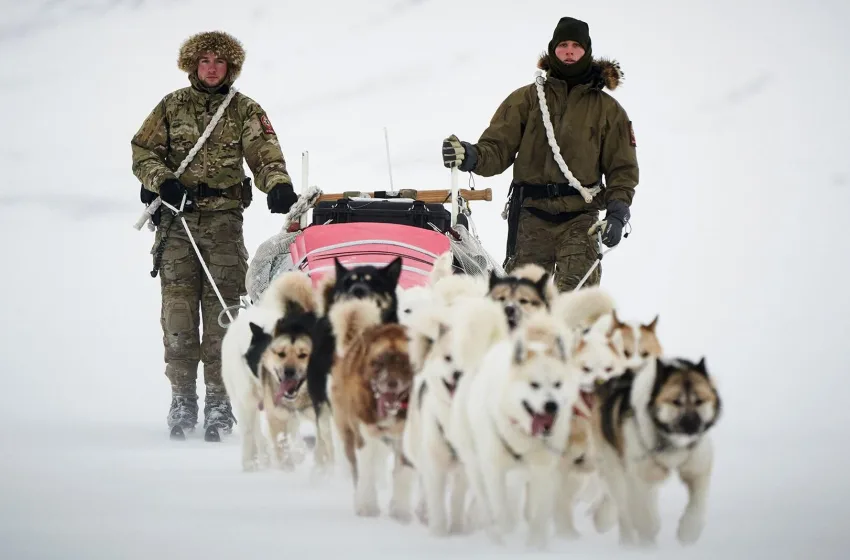 Sirius Dog Sled Patrol: Η επίλεκτη περιπολία έλκηθρων της Δανίας που χλεύασε ο Τραμπ και φυλάσσει τη Γροιλανδία