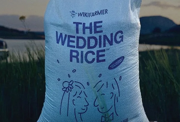 Σεμινάρια για νύφες και γαμπρούς, «ρύζι γάμου» και ένα από τα πρώτα νυφικά αυτοκίνητα στην&hellip;