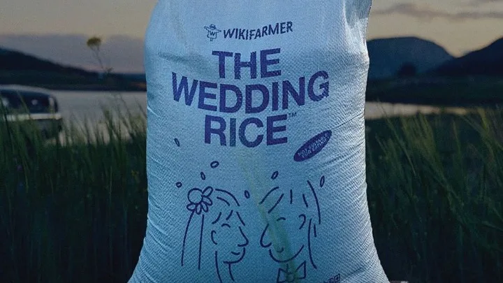 Σεμινάρια για νύφες και γαμπρούς, «ρύζι γάμου» και ένα από τα πρώτα νυφικά αυτοκίνητα στην 26η EXPOWEDDING