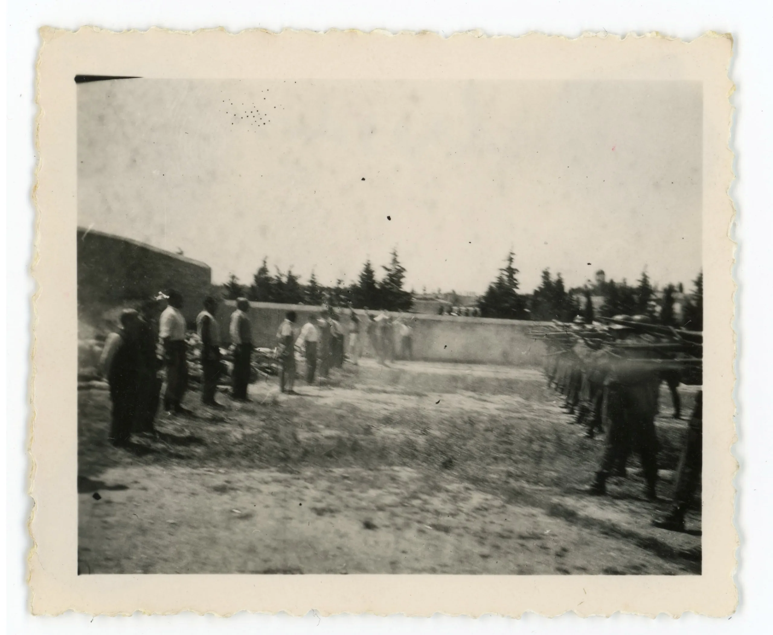 Καισαριανή 1944: Οι 200 που στάθηκαν όρθιοι μπροστά στο απόσπασμα – Το άγνωστο φωτογραφικό αρχείο του Χέρμαν Χόιερ