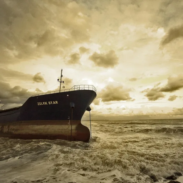 Image by Engin_Akyurt on Pixabay