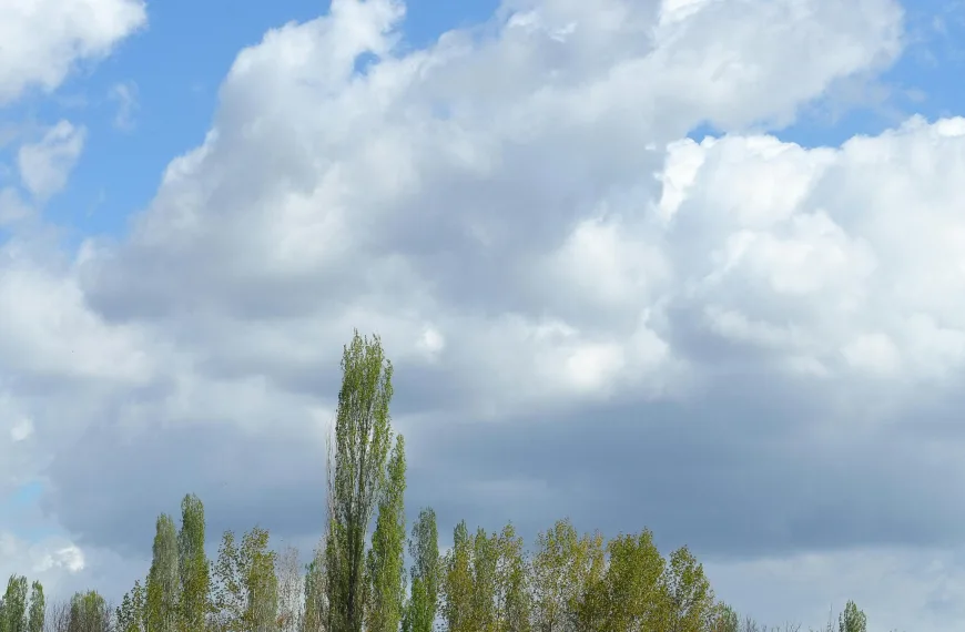 Photo by Mustafa Akın on Pexels
