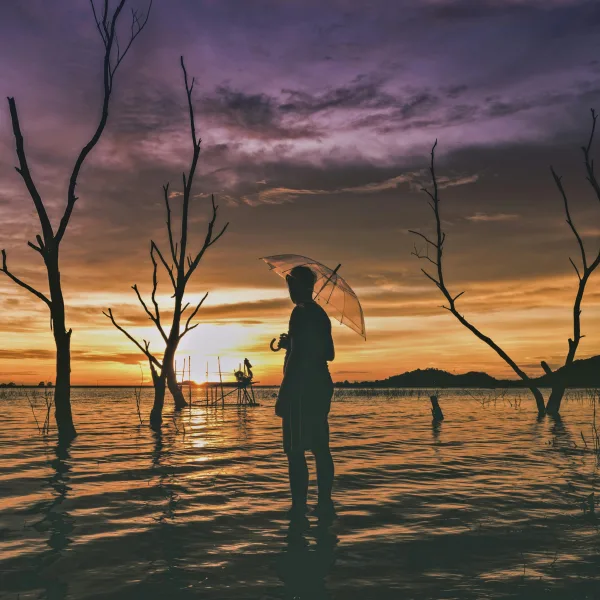 Photo by Pixabay on Pexels