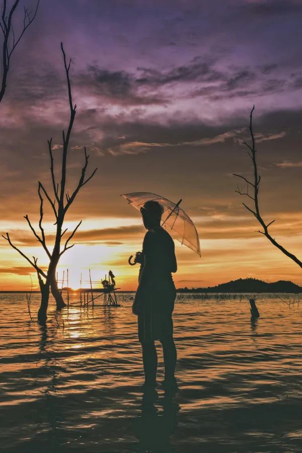 Photo by Pixabay on Pexels