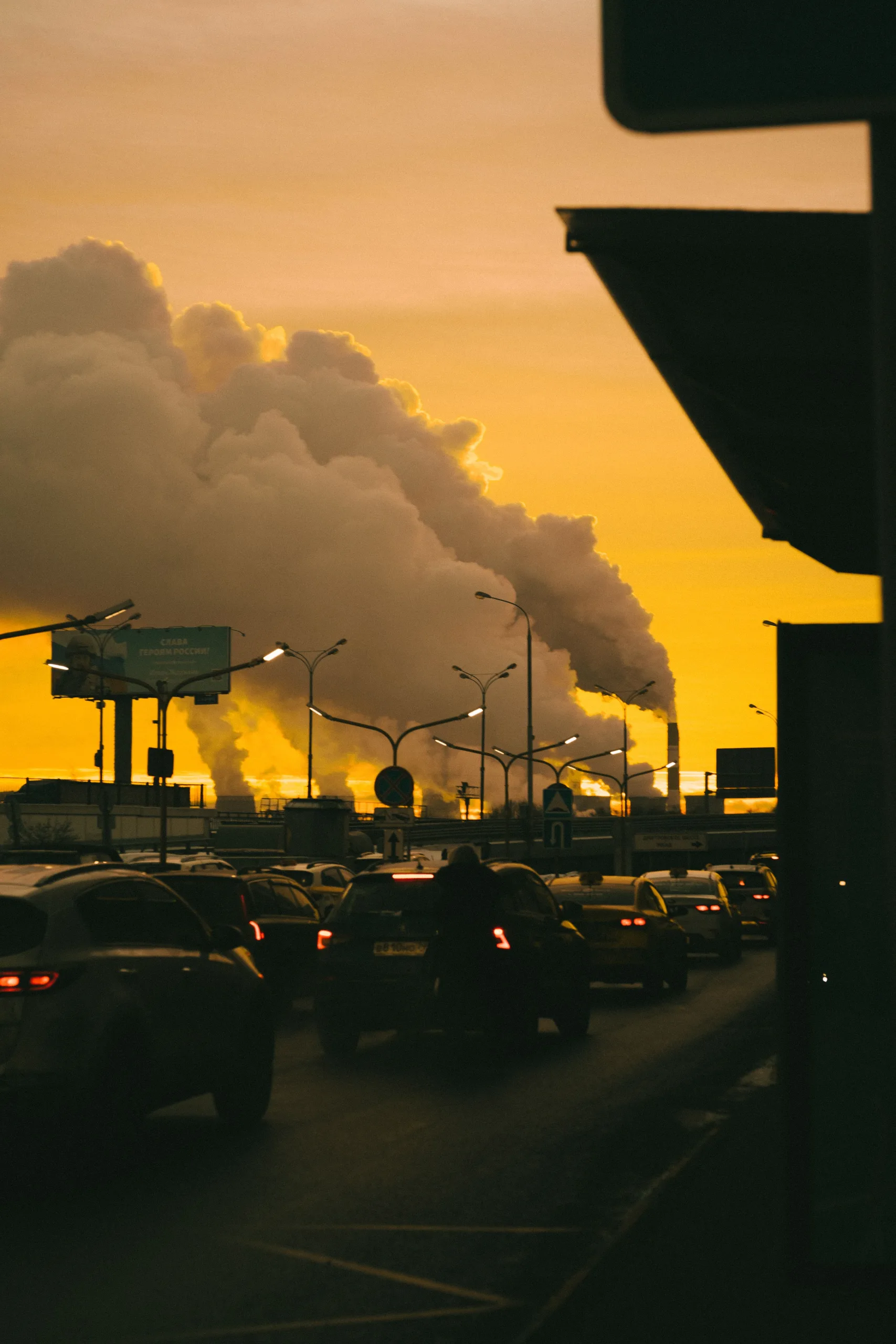 Photo by Vitaly Gorbachev on Pexels