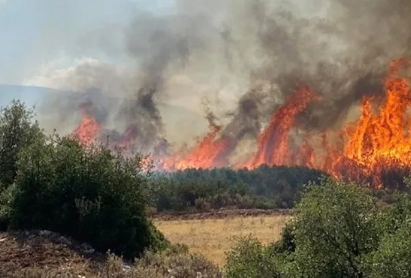 Βελτιωμένη η εικόνα της μεγάλης φωτιάς στην Οινόη – Συνεχίζεται η μάχη&hellip;