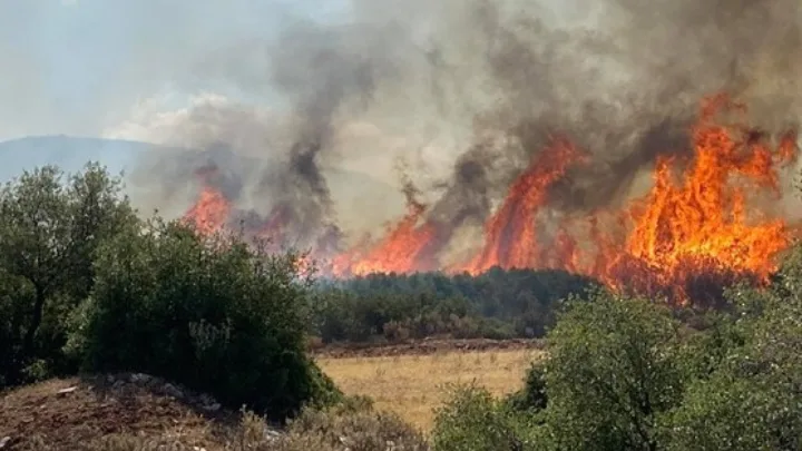 Βελτιωμένη η εικόνα της μεγάλης φωτιάς στην Οινόη – Συνεχίζεται η μάχη με 210 πυροσβέστες και 29 εναέρια μέσα