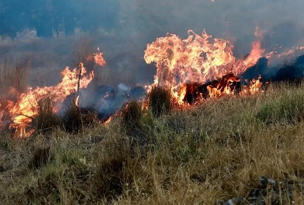 Πολύ υψηλός κίνδυνος πυρκαγιάς σε Αττική και μεγάλο μέρος της χώρας