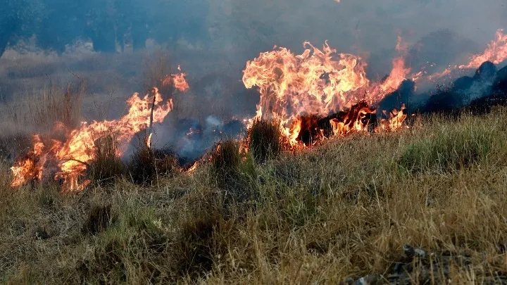 Πολύ υψηλός κίνδυνος πυρκαγιάς σε Αττική και μεγάλο μέρος της χώρας