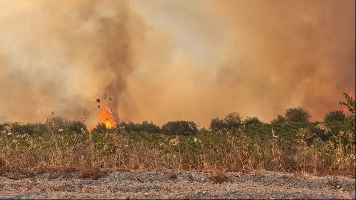 Μάχη με 73 πυρκαγιές σε όλη τη χώρα – Συναγερμός σε Ποικίλο&hellip;