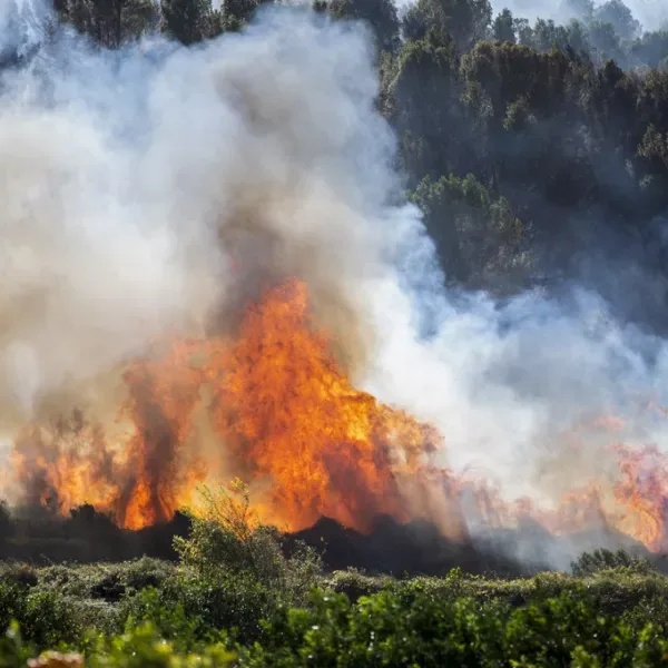 Πυρκαγιές σε Γαλλία και Ισπανία: 325.000 εκκενώσεις, τεράστιες καταστροφές και φόβοι για νέο κύμα καύσωνα
