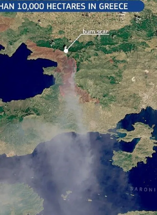 Βιβλική καταστροφή: Πάνω από 480.000 στρέμματα καμένα στη Δυτική Αττική από το 2018