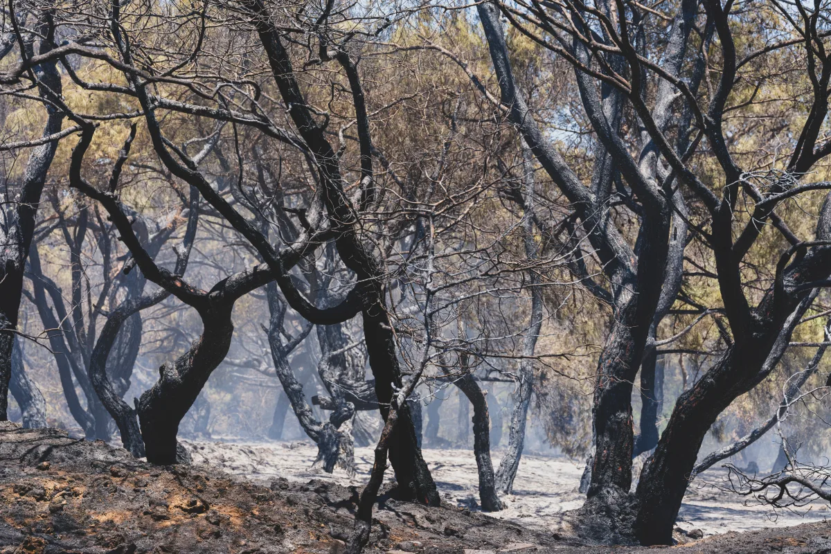 Photo by Engin Akyurt on Pexels