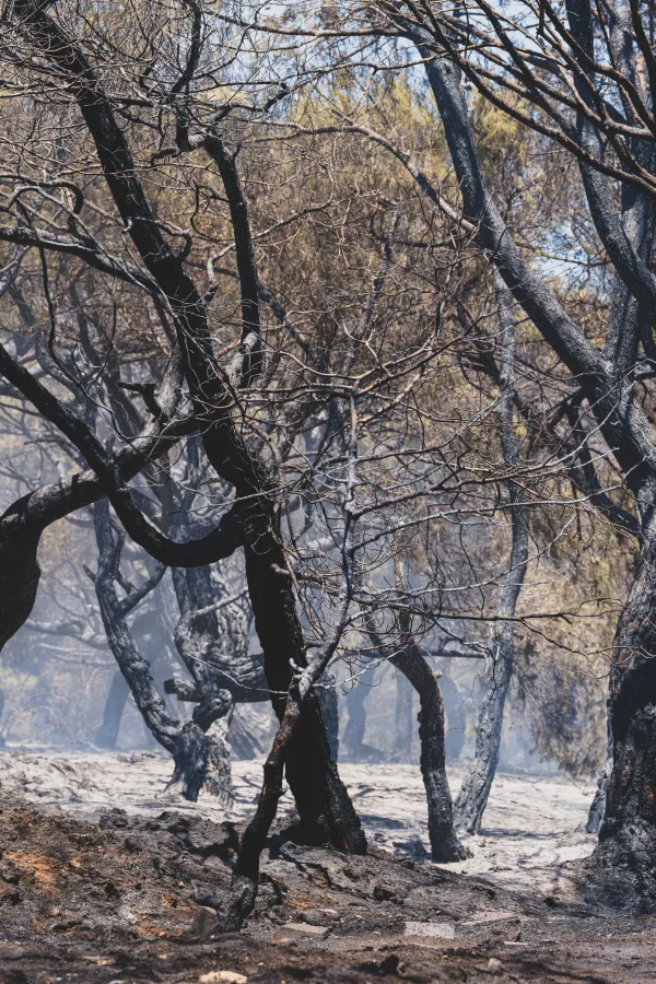 Photo by Engin Akyurt on Pexels