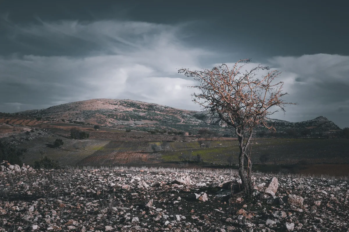 Photo by Mehmet Turgut Kirkgoz on Pexels