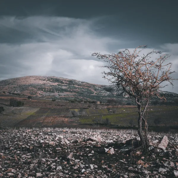 Photo by Mehmet Turgut Kirkgoz on Pexels