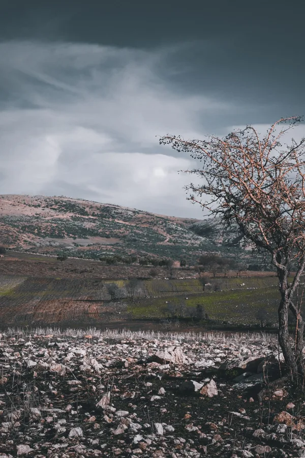 Photo by Mehmet Turgut Kirkgoz on Pexels
