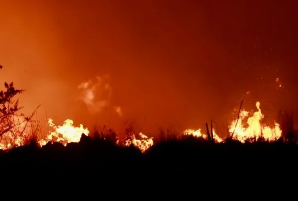 Μάχη χωρίς τέλος με τη φωτιά στη Δυτική Αττική: Πάνω από 130.000&hellip;