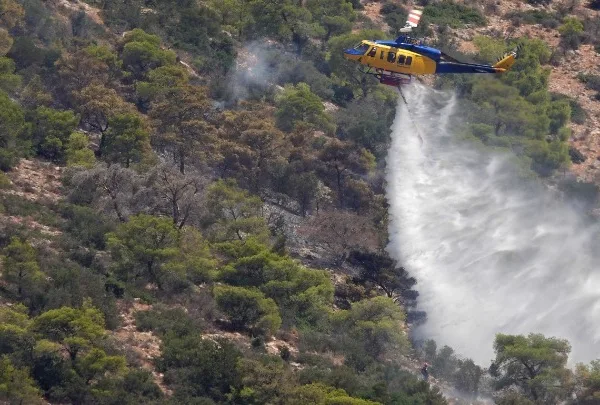 Φωτιά στον Κουβαρά: Σπινθήρες από καλώδια χαμηλής τάσης του ΔΕΔΔΗΕ δείχνουν τα πρώτα ευρήματα