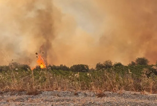 Καύσωνας πάνω από 40°C και πολύ υψηλός κίνδυνος πυρκαγιάς τη Δευτέρα
